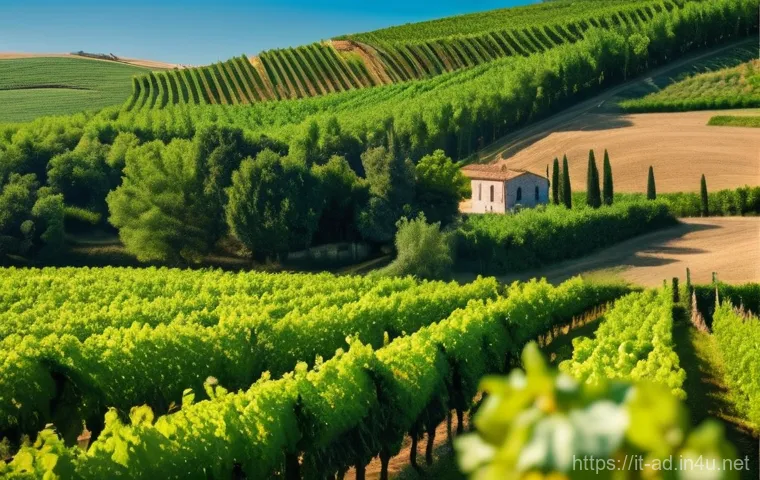 광고홍보사와 성공적인 광고 구성 요소 - **Prompt: AI and Human Synergy in an Italian Creative Agency**
    "An inspiring and sophisticated i...